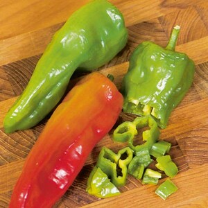 Cubanelle Sweet Pepper - Organic - 20 Seeds
