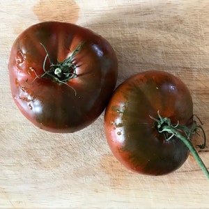 Paul Robeson Tomato - Organic - Heirloom - 20 Seeds