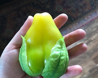 Queen of Malinalco - Tomatillo - VERY PROLIFIC - Heirloom - 20 Seeds
