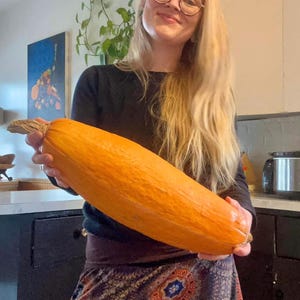 Gete Okosomin Squash - Kentucky Squash - Heirloom - 10 seeds