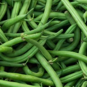 May include: A bunch of fresh green string beans. The beans are arranged in a pile, with some of the beans overlapping each other.