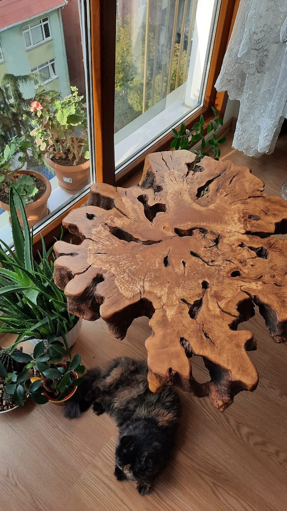 Handmade Olive Wood Burl Coffee Table: Custom Live Edge Slab