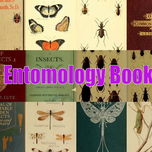 Entomology - insects, beetles spiders 421 books download pdf. Illustrated