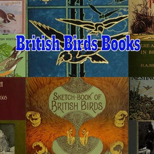 260 British Birds Rare Books - Ornithology - Birds Nests - Habitats Identification - Bird Watching PDF download