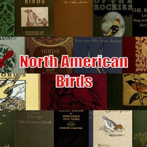 293 North American Birds & Canadian Old Bird Books- Ornithology, Bird watching Nests, Eggs, Natural History PDF download