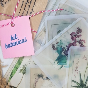 Kit éphémères botaniques vintage français en vélin, fournitures de journalisation indésirable, éphémères vintage, pack de scrapbooking, kit de correspondants, impression botanique