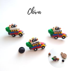 colombian, colombian pin, Colombian culture, colombia, colombian chiva, artesania colombiana, colombian dry craft, colombian gift