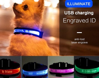 Personalized USB Dog Collar Anti-Lost/Avoid Car Accident Collar For Dogs Puppies Dog Collars Leads LED  Pet Products USB charging