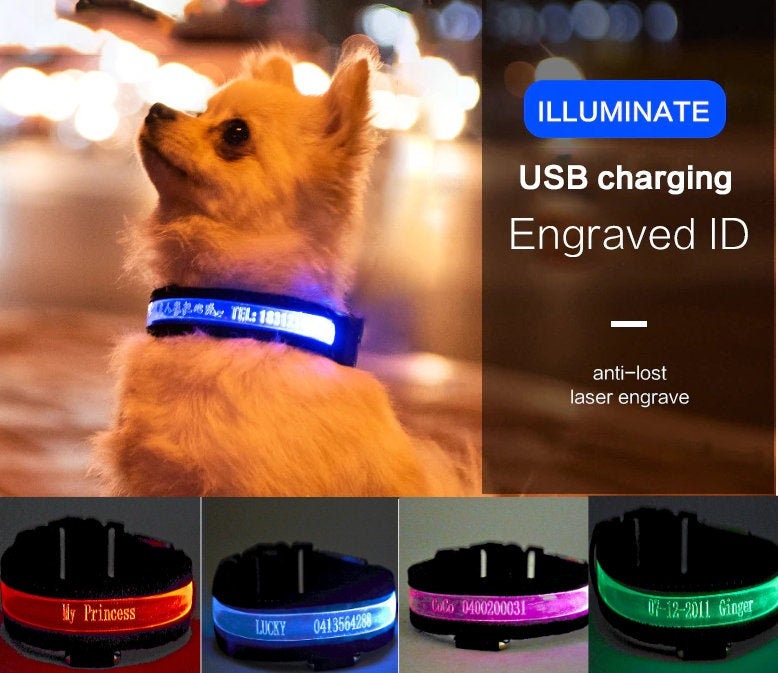 Light Luminous Neck Ring Personalized Engraving Anti-lost Dog ID Tag  Customized Cat Collar Resin Luminous Material Night Safety - AliExpress