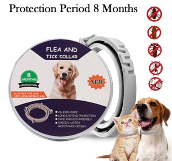 Are There Dog Tick Collars Safe
