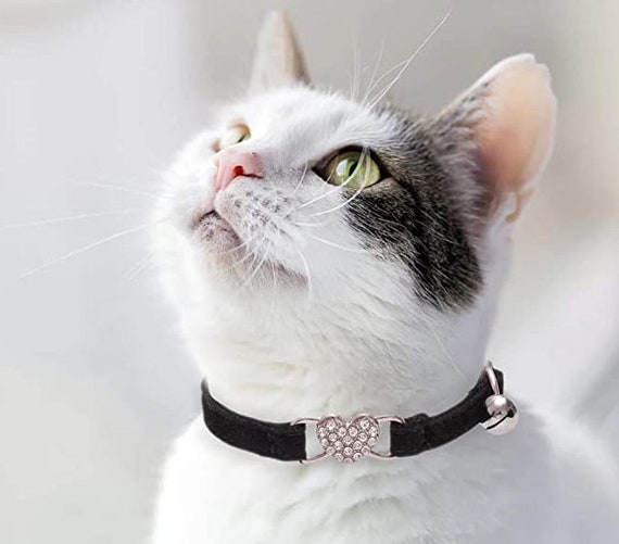 Cat necklace cheap collar