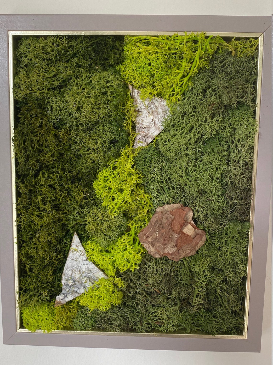 Natural Preserved Moss Wall Art Etsy