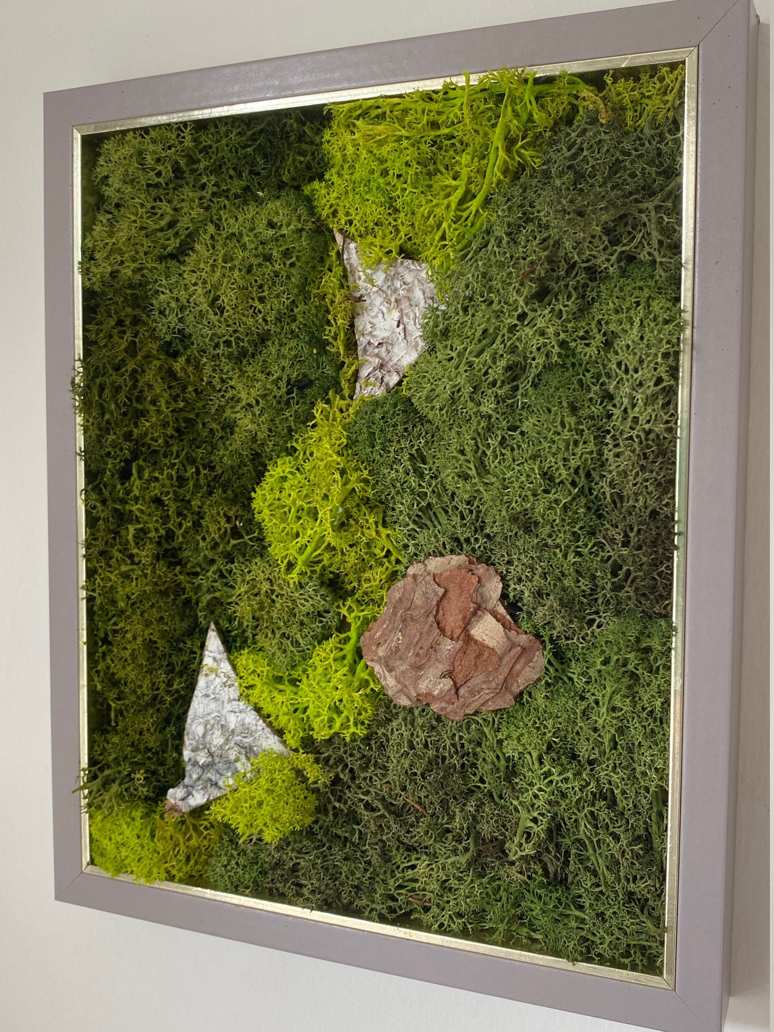 Natural Preserved Moss Wall Art Etsy