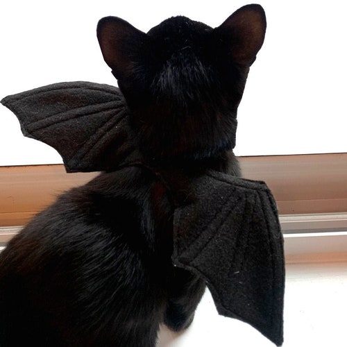 diy cat bat wings