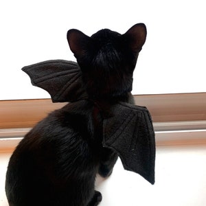 Cat Bat Wing Costume Cat Apparel / Clothing Pet image 1