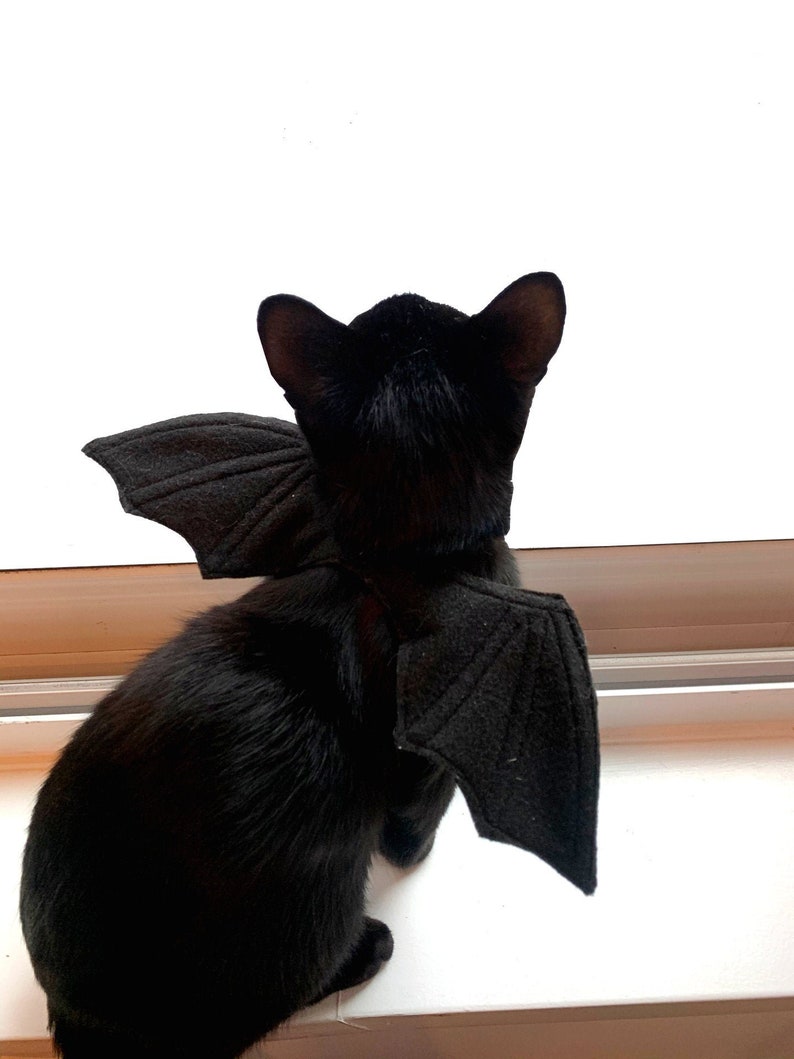 Cat Bat Wing Costume - Cat Apparel / Clothing - Pet 