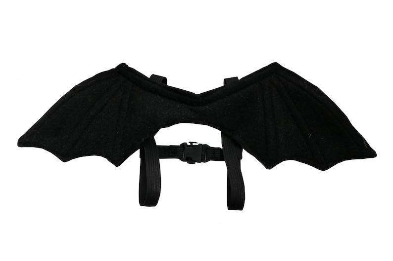 Cat Bat Wing Costume Cat Apparel / Clothing Pet image 2