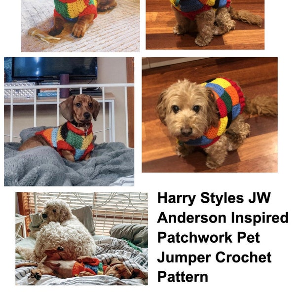 Crochet Pattern Patchwork Dog/Cat Sweater (Harry Styles JW Anderson Inspired)