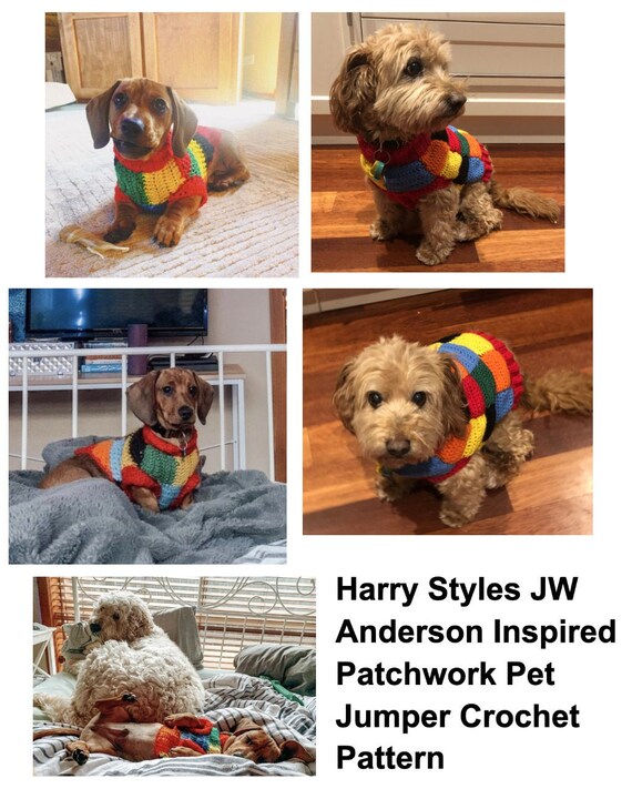 dog clothes divisoria