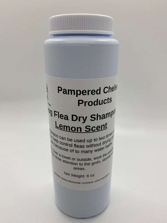 dry flea shampoo