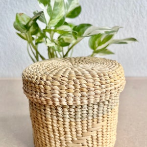 Multi-purpose box woven from vetiver grass It’s a beautiful craft.