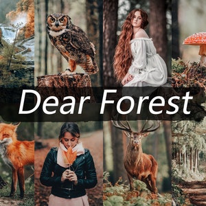 Forest Lightroom Presets: Mobile & Desktop Photo Filters (Digital Download)