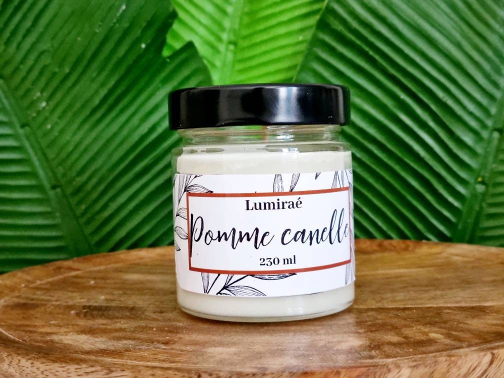 Bougie Pomme Cannelle/Bougie à La Cire de Soja