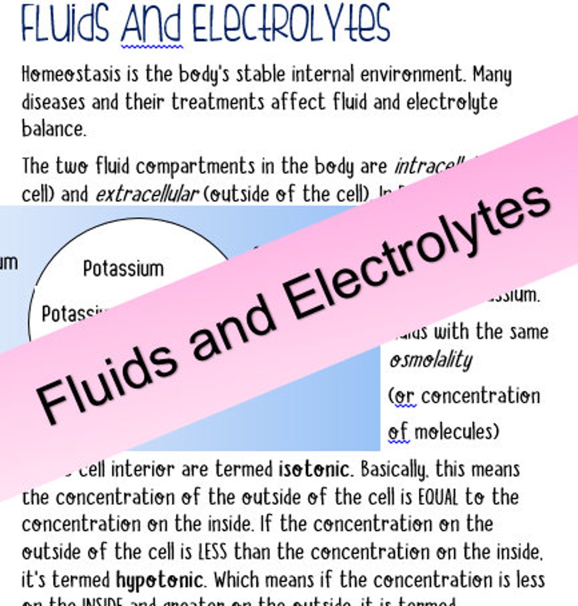 Fluids and Electrolyte Notes Easy to Understand Etsy