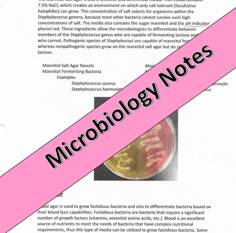 Microbiology ALL Notes From the Semester - Etsy