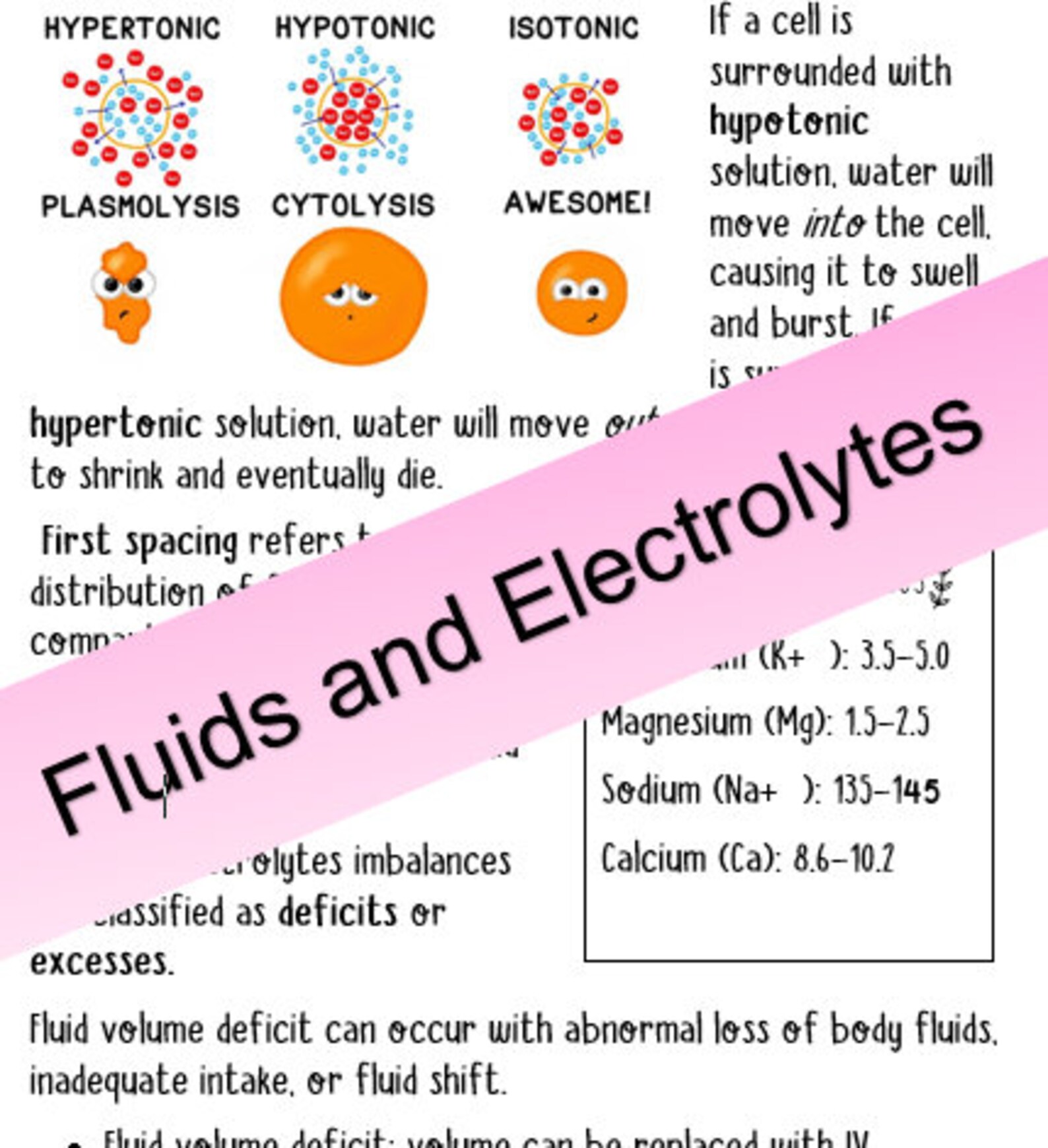 Fluids and Electrolyte Notes Easy to Understand Etsy