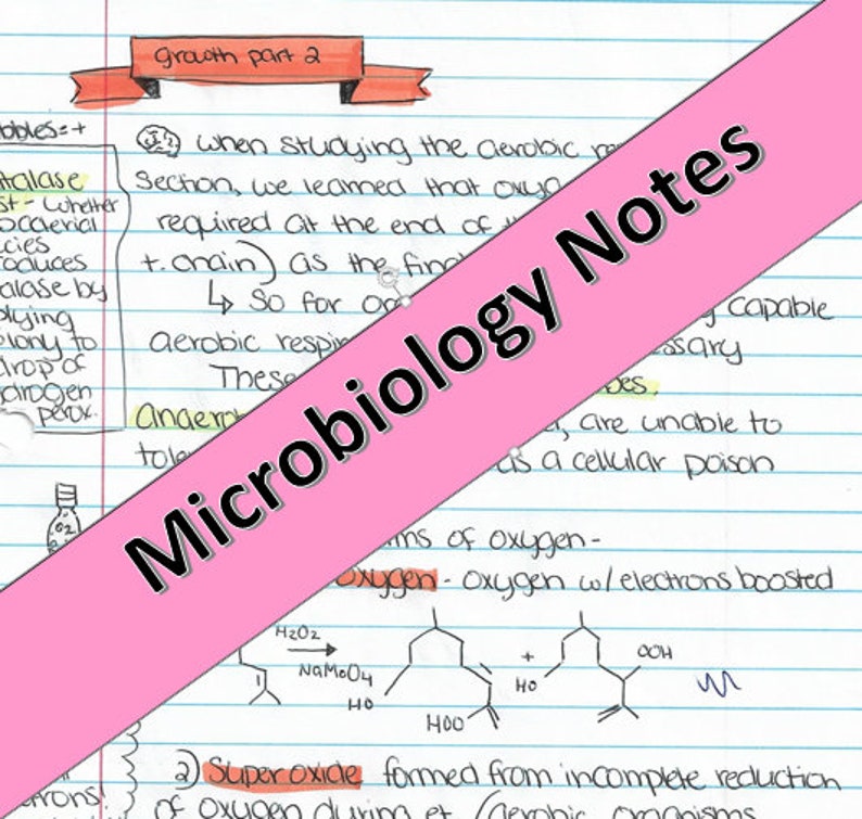 Microbiology ALL Notes From the Semester Etsy
