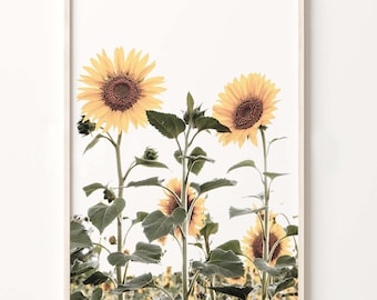 Sunflower Field Photography Print, Rustic Farmhouse Wall Art (Digital Download)
