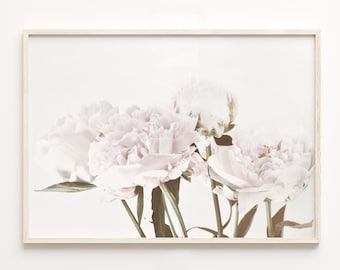 White and Pink Peony Flower Print, Botanical Wall Art (Digital Download)