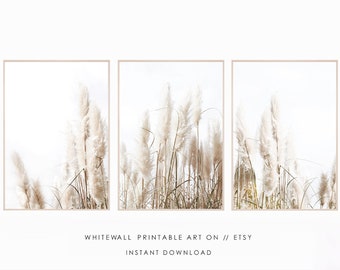 Set of 3 prints,Pampas Grass Decor Print, Printable Wall Art,Pampas Printable,Beach Costal Style,Dried Grass,Plant Photography,Large Poster