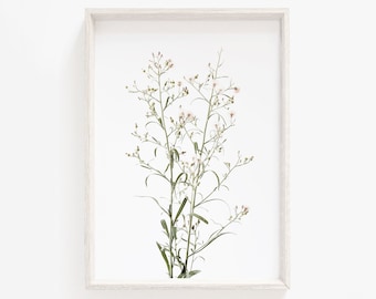 Neutral Wildflower Botanical Print, Rustic Floral Wall Art (Digital Download)