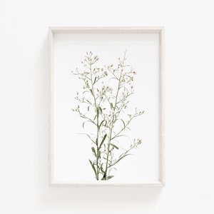 Wildflowers Wall Art,Neutral botanical print,Wildflowers Wall Art,Floral Print,Plant Decor,rustic print,Dried Flowers Print,minimalist print