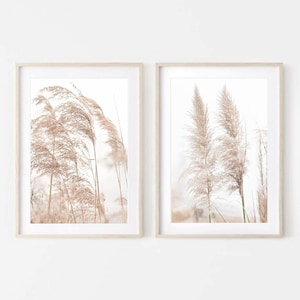 Set of 2 Prints,Pampas Grass Decor Print,Costal wall art,Neutral Prints,Digital Download,Scandinavian Art,Botanical print set 2,Dry pampas