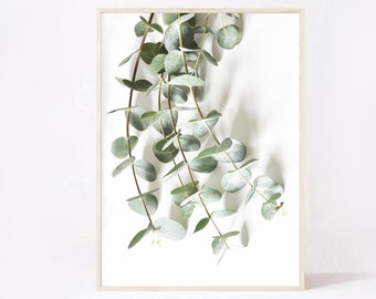 Eucalyptus Print, Botanical Wall Art (Digital Download)