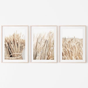 Stampe di fattoria, set di 3 stampe, stampa digitale, decorazione murale rustica, arte murale del grano, arte murale della fattoria, arte murale neutra, stampe botaniche, stampe beige