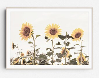 Sunflower Field Art Print, Rustic Farmhouse Style (Digital Download)