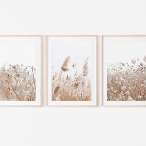 Set di 3 stampe, stampa decorativa Pampas Grass, set di 3 stampe di erba secca, stampabile Pampas, stampa fattoria, toni della terra, stampa neutra, poster di grandi dimensioni