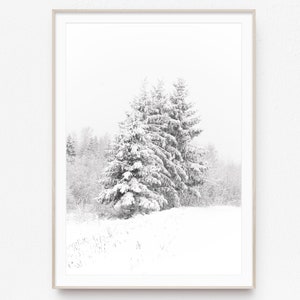 Snowy Trees Print,Nordic Wall Art,Fir Trees Print Snowy Forest,Winter Decor,Snow Covered Trees,Printable Wall Art,Winter Photography