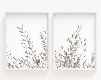 Olivenzweig Print Set, minimalistische botanische Kunst (Digitaler Download)