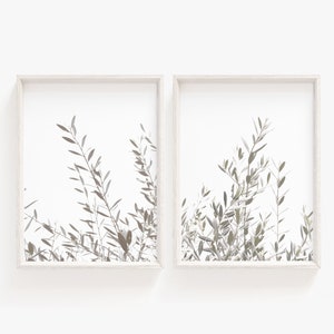 Set 2 print Olive,Eucalyptus Olive Print,Printable Art,Minimalist Poster,Digital download,botanical print set,green wall art,neutral print