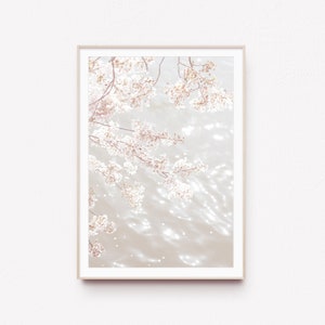 桜のプリント、春の花のプリント、桜のアートプリント、花の壁アート、寝室の壁の装飾、桜の写真、ピンクの花