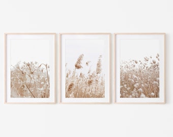 Set of 3 prints,Pampas Grass Decor Print,Dried grass print set of 3,Pampas Printable,Farmhouse print,Earth tones ,Neutral print,Large Poster