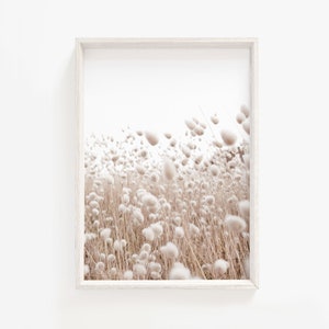 Pampas print,Botanical prints,Neutral Color print,Farmhouse Wall Decor,Minimalist print, digital Download,dried grass print,large print