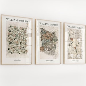 William Morris arte 3 pezzi parete art nouveau stampa arazzo antico mercato dei fiori museo poster william morris tessuto carta da parati floreale
