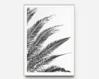 Black and White Palm Leaf Photography, Minimalist Tropical Wall Art (Digital Download)