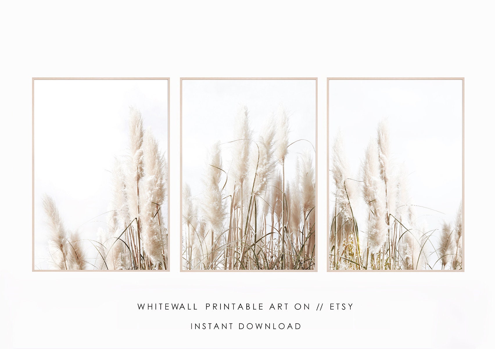 Set of 3 prints,Pampas Grass Decor Print, Printable Wall Art,Pampas Printable,Beach Costal Style,Dried Grass,Plant Photography,Large Poster